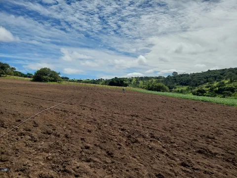 Área agrícola acompanhada em São João, Pernambuco
