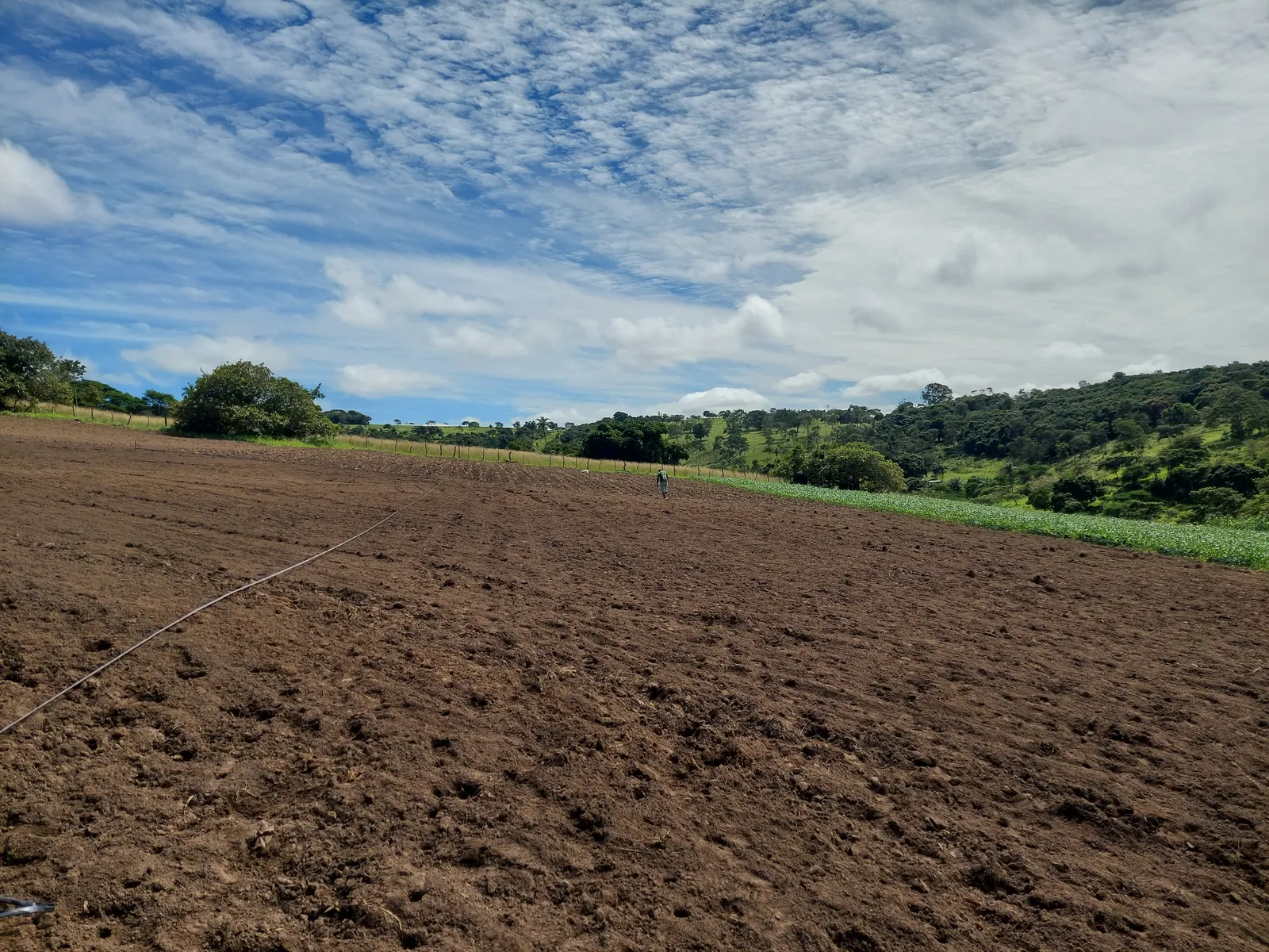 Área agrícola acompanhada em São João, Pernambuco